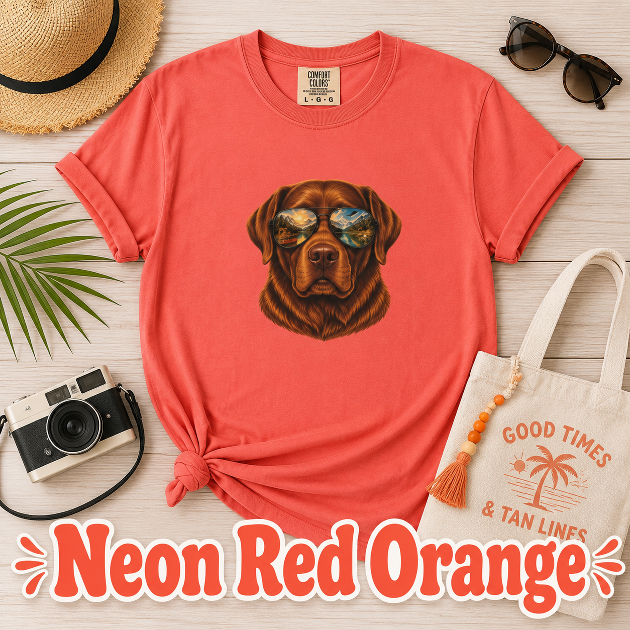 Chocolate Labrador Retriever Shirt, Dog with Sunglasses Tee, Lab Lover Gift, Adventure Dog Shirt, Hiking Tee, Comfort Colors