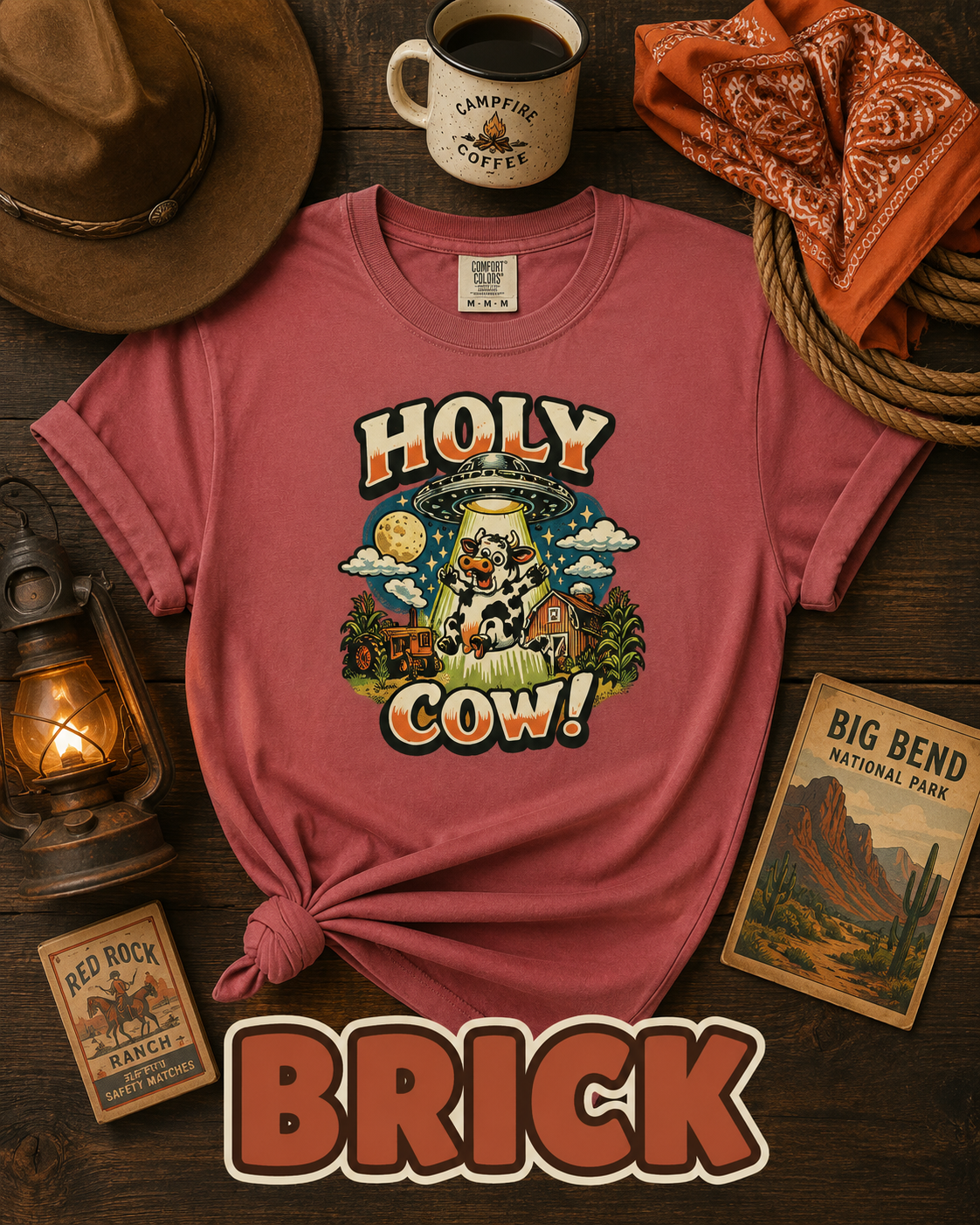 Holy Cow UFO Alien Abduction Funny Graphic T-Shirt