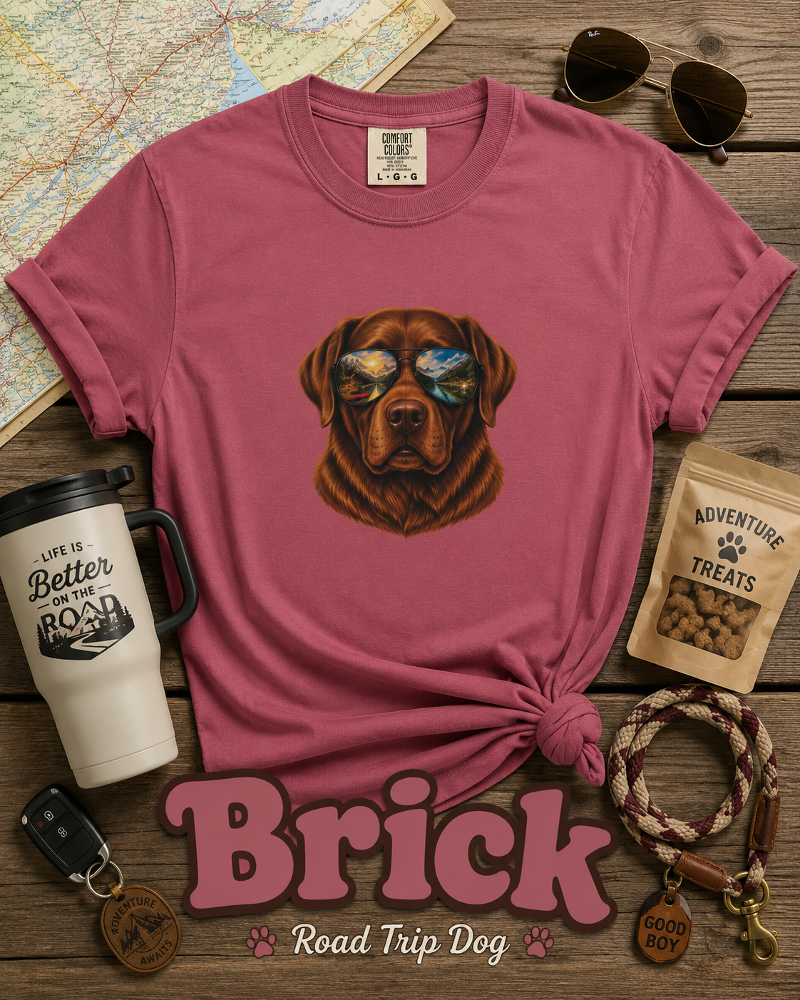 Chocolate Lab Sunglasses T-Shirt | Outdoor Dog Lover Tee